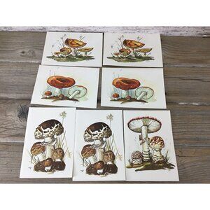 Vintage Cape Shore Mushroom Note Cards By Paul Thayer Botanical Art Set 7 Cards
